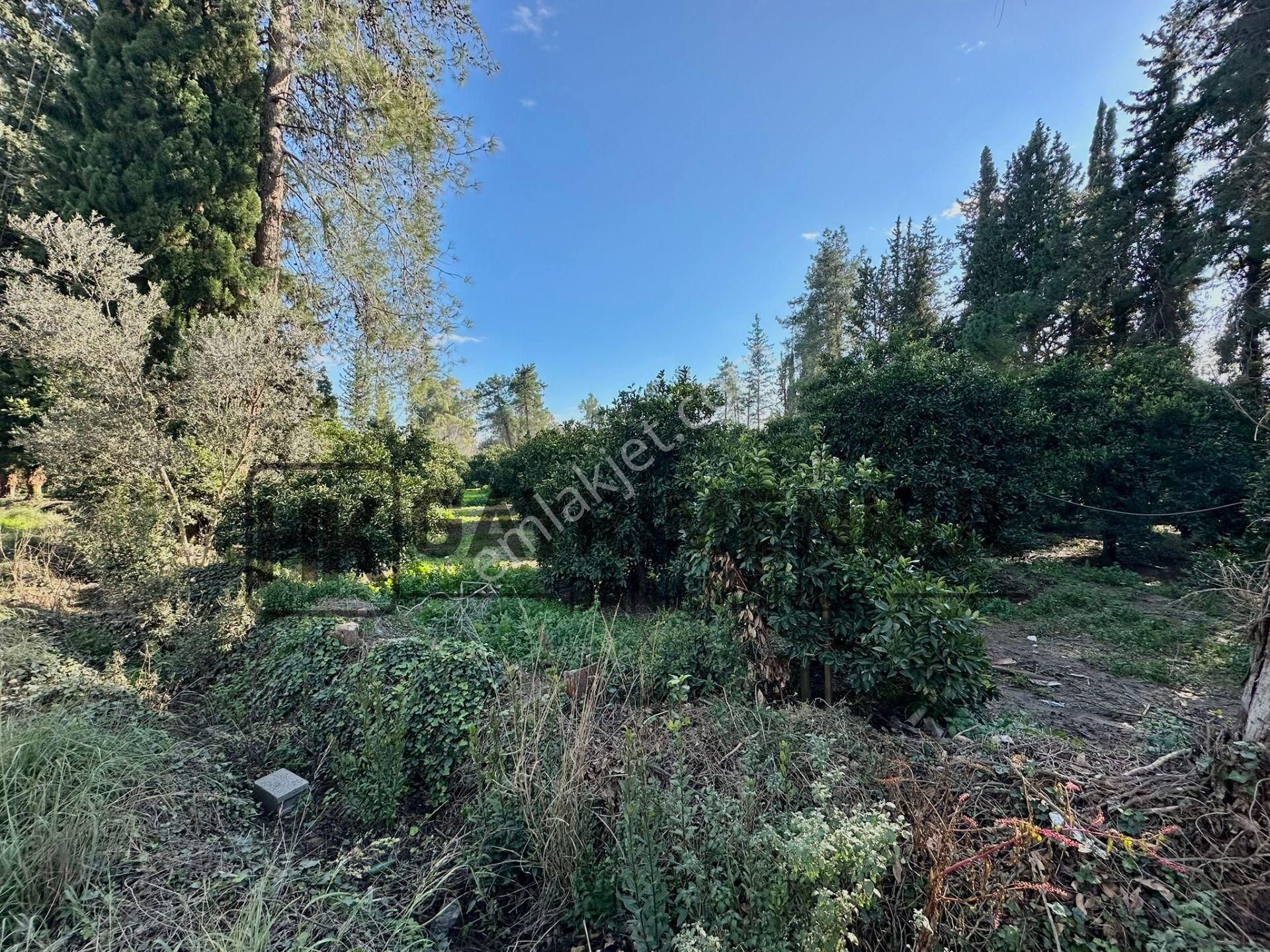 Bahtılı'da 10 Dönüm Kiralık Bungalov Ev Yapımına Uygun Arsa - Görsel 10