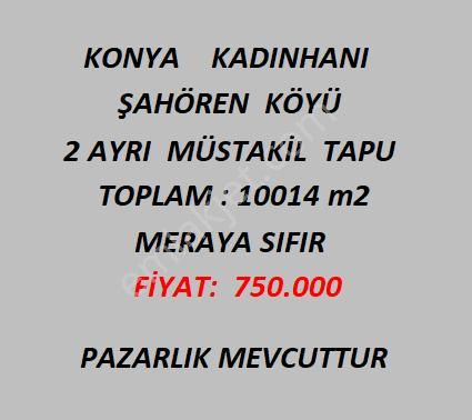 Konya Kadınhanı Şahören Köyü 2 Adet Müstakil Tapu 10014 M2 Satılık Tarla