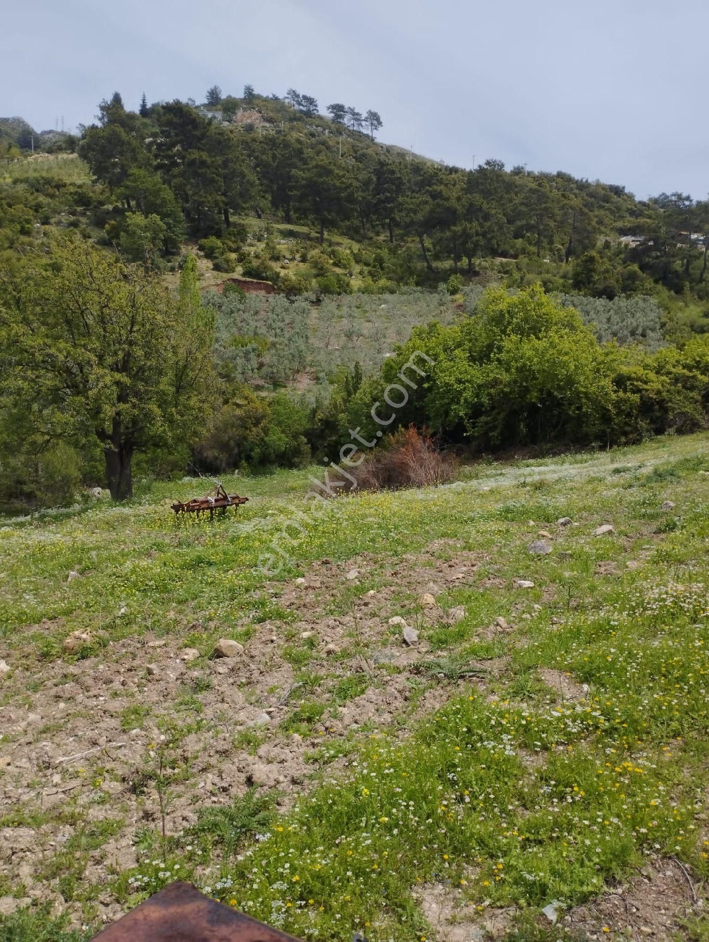 Antalya Kumluca Belen De Satılık Tarla - Görsel 8
