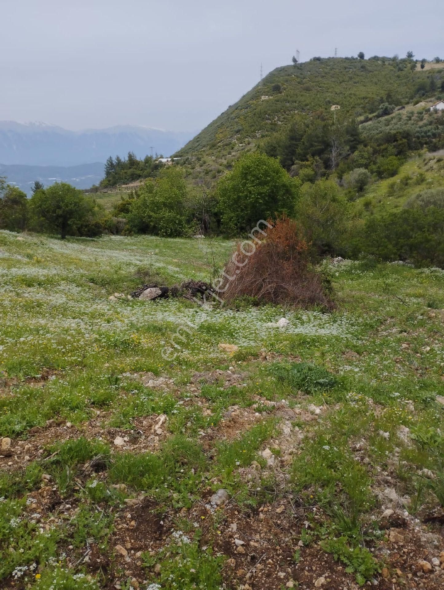Antalya Kumluca Belen De Satılık Tarla