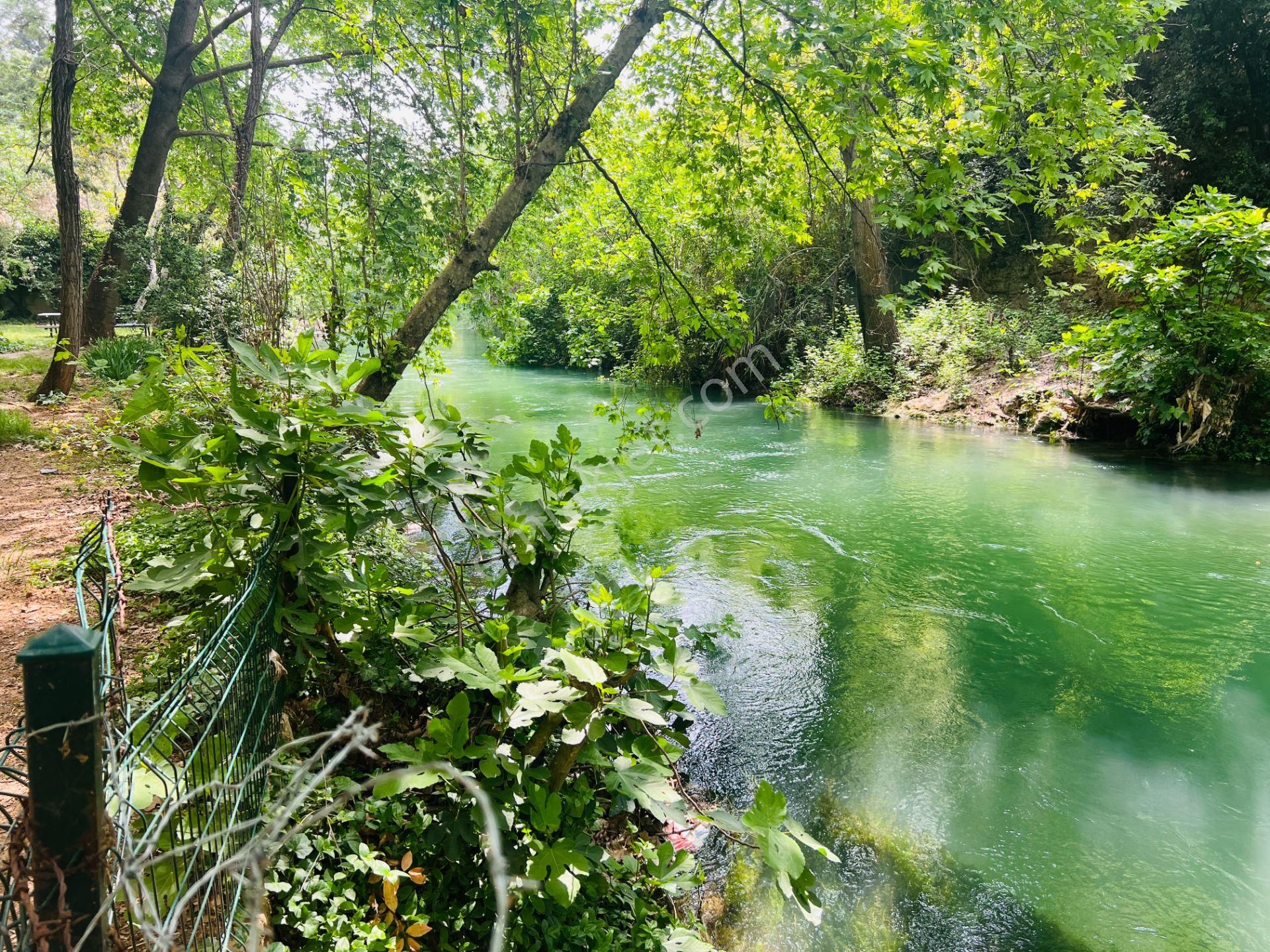 Muhteşem Doğa Manzaralı Havuzlu Bakımlı Villa - Görsel 6