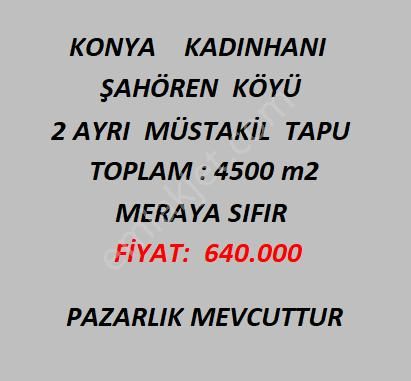 Konya Kadınhanı Şahören Köyü 2 Adet Müstakil Tapu 4500 M2 Satılık Tarla