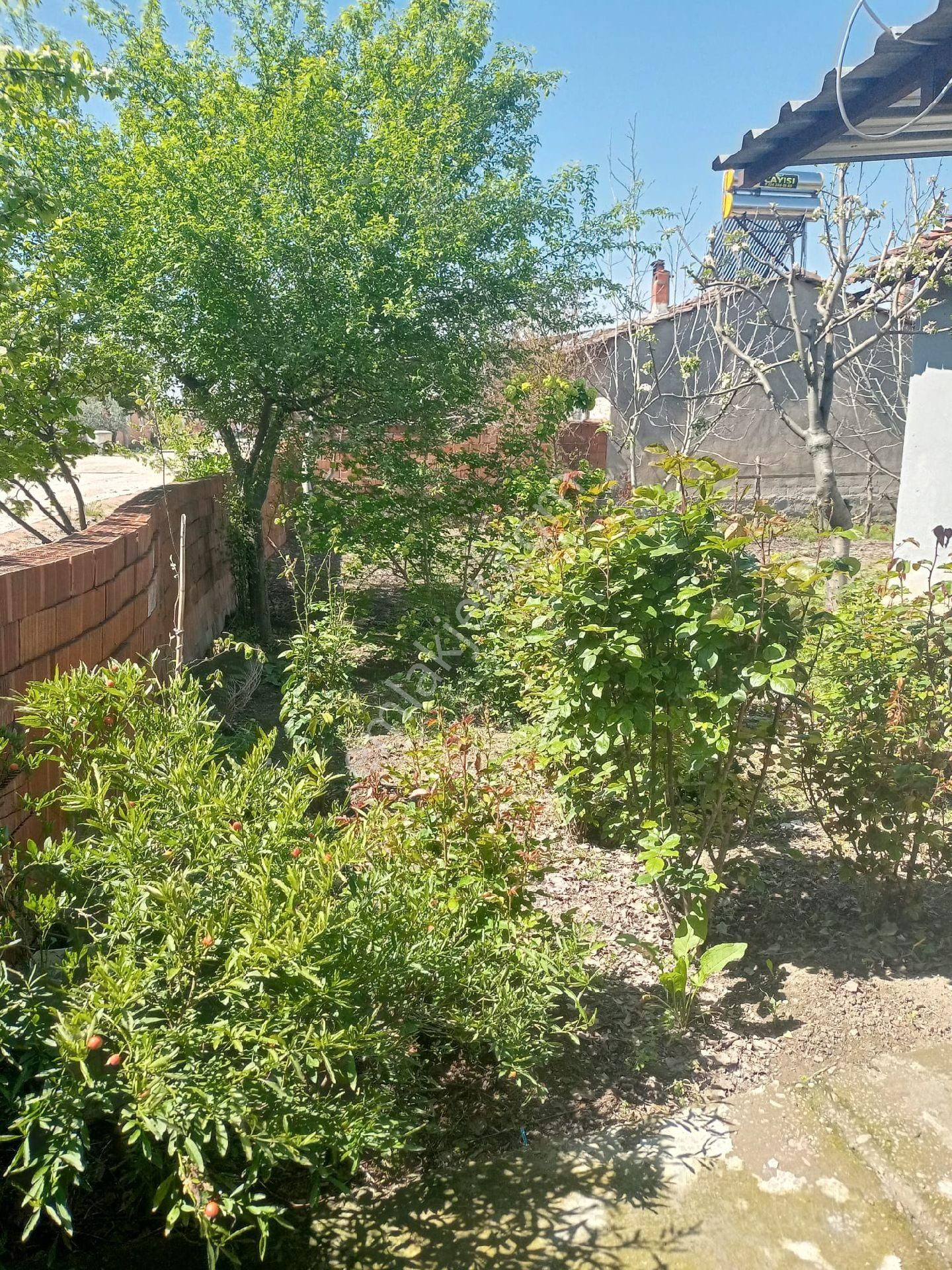 Aydın Gayrimenkul Den Sayılık Köy Evi