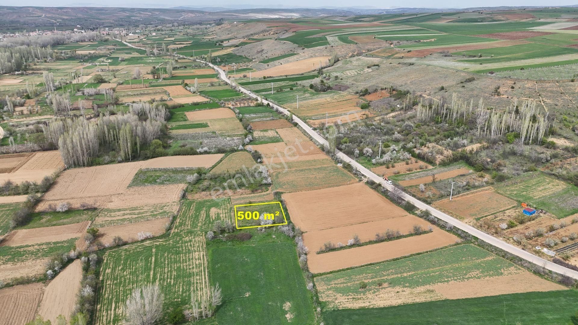Konya / Doğanhisar / Zafer Mahallesinde 500 M² Müstakil Tapulu Tarla