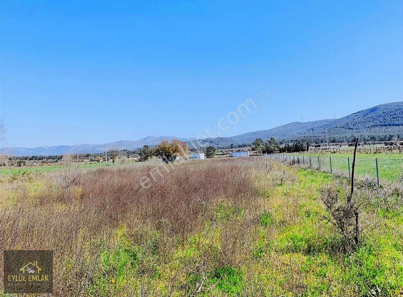Bodrum Sazköy Satılık Tarla - Görsel 2