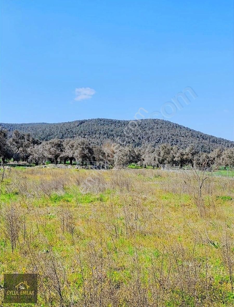 Bodrum Sazköy Satılık Tarla - Görsel 13