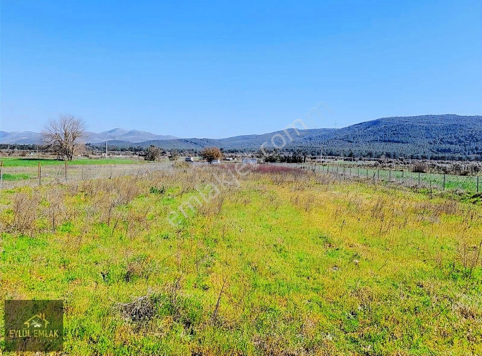 Bodrum Sazköy Satılık Tarla - Görsel 6
