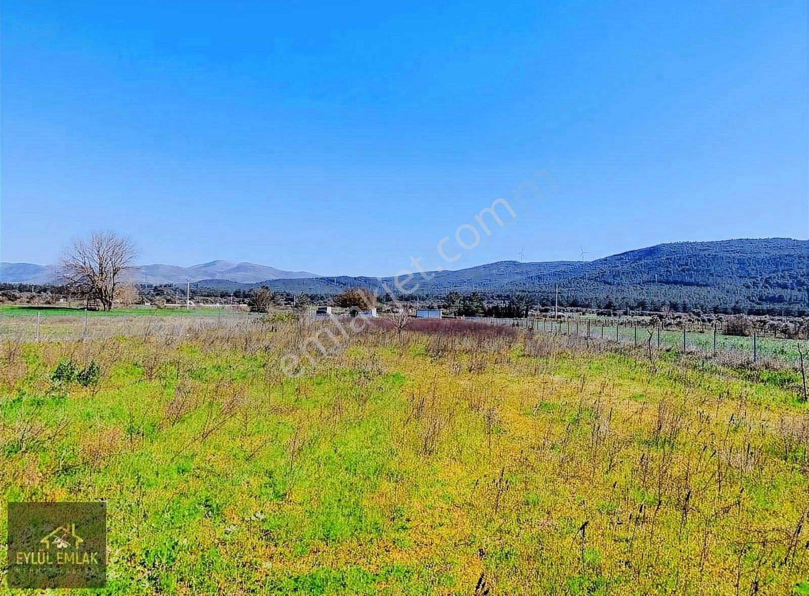 Bodrum Sazköy Satılık Tarla - Görsel 9