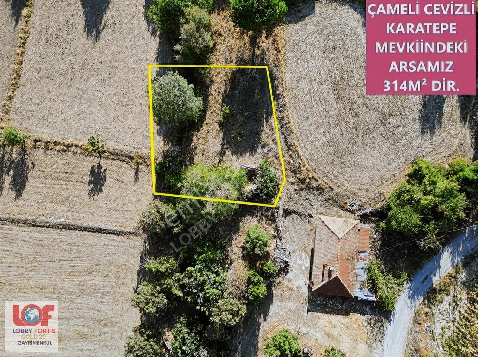 Lobby Fortis'ten Çameli Cevizli'de 314 M² Kagir Ev Ve Bahçesi