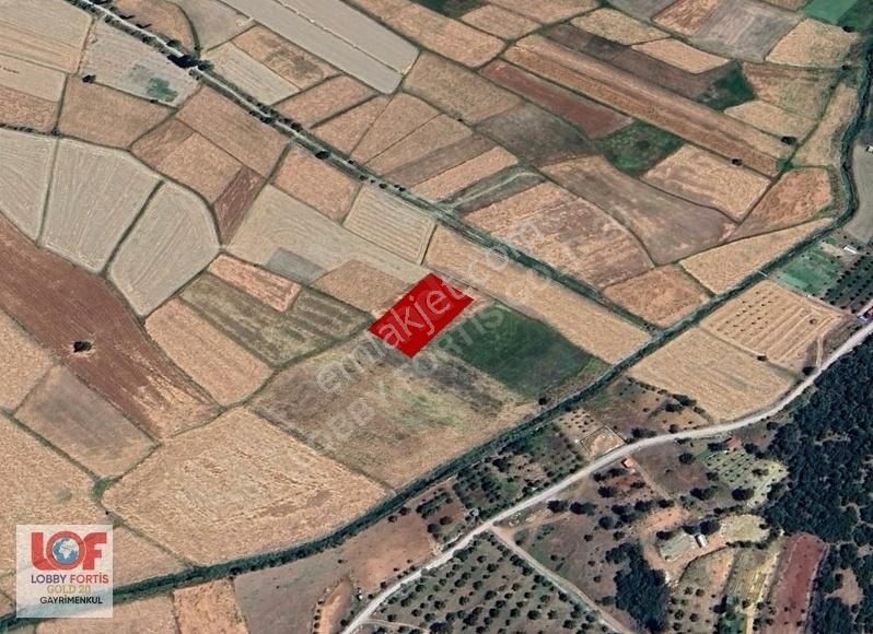 Lobby Fortisten Çameli Belevi Mahallesinde 2203m2 Satılık Tarla
