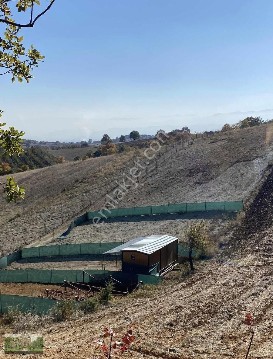 Halhalca Da Satılık 800m2 Göl Manzaralı Tarlalar