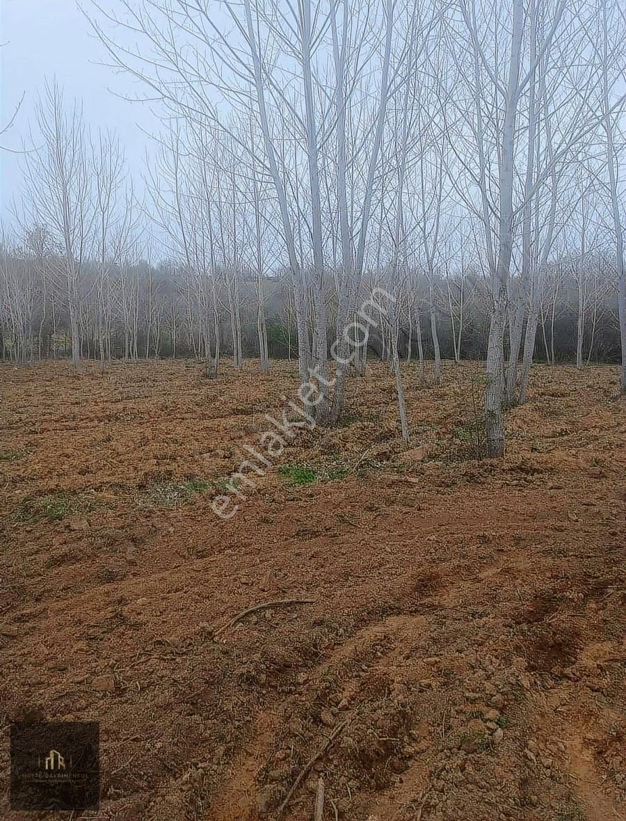 Motte Gayrimenkul'den Etrafında Yapılaşma Olan 4127m2 Tarla