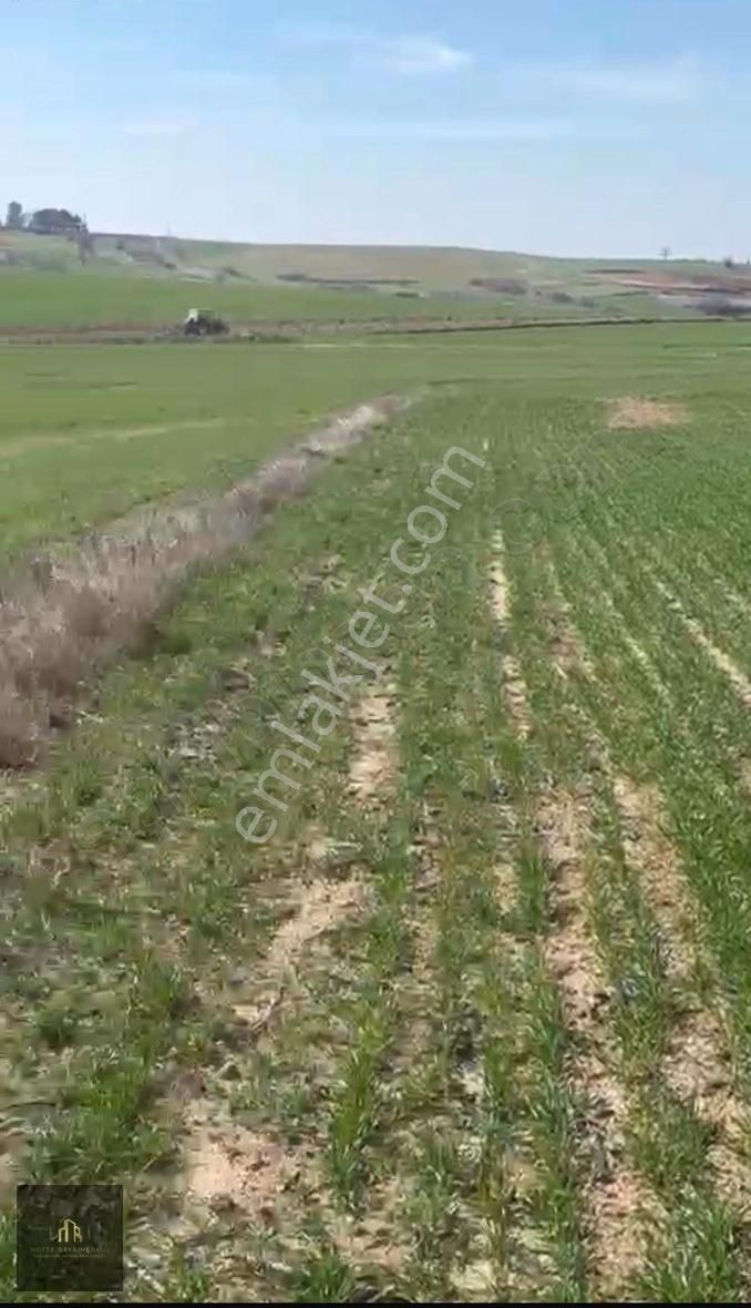 Motte Gayrimenkul'den İmara Yakın Yatırımlık Tarla