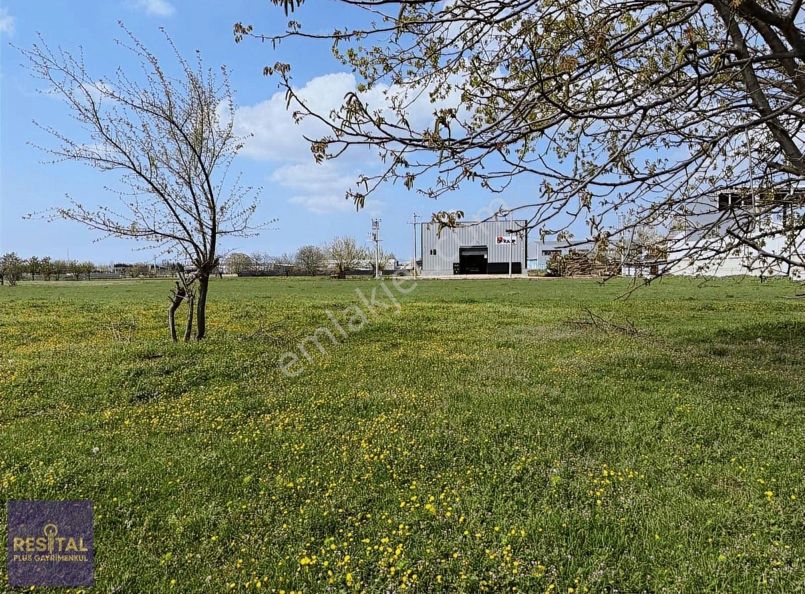 Çalı'da Satılık 2.400 M2 Tarla