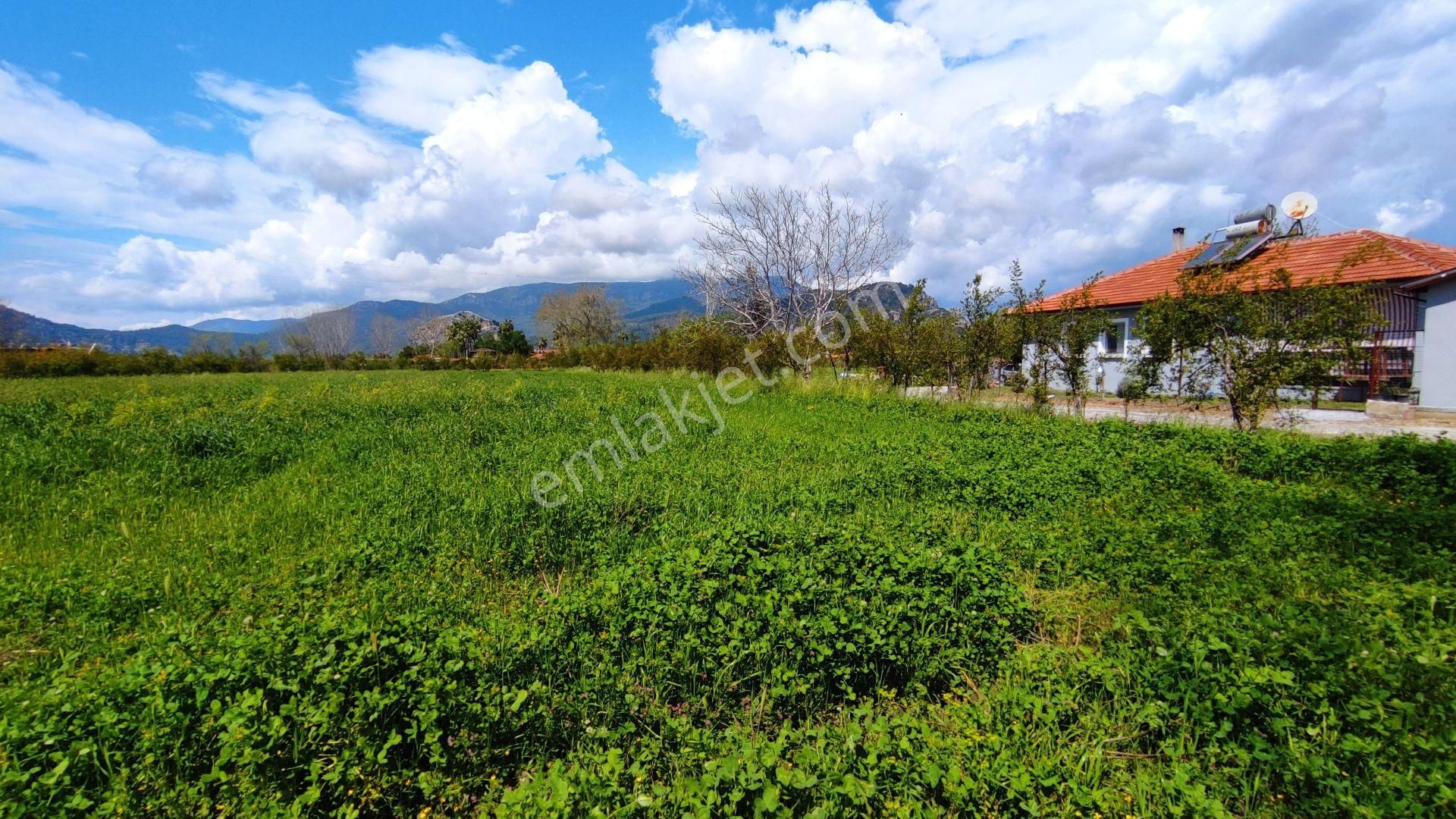 Dalyanda Satılık Tarla 7324 M2 Harika Konumda (da44)