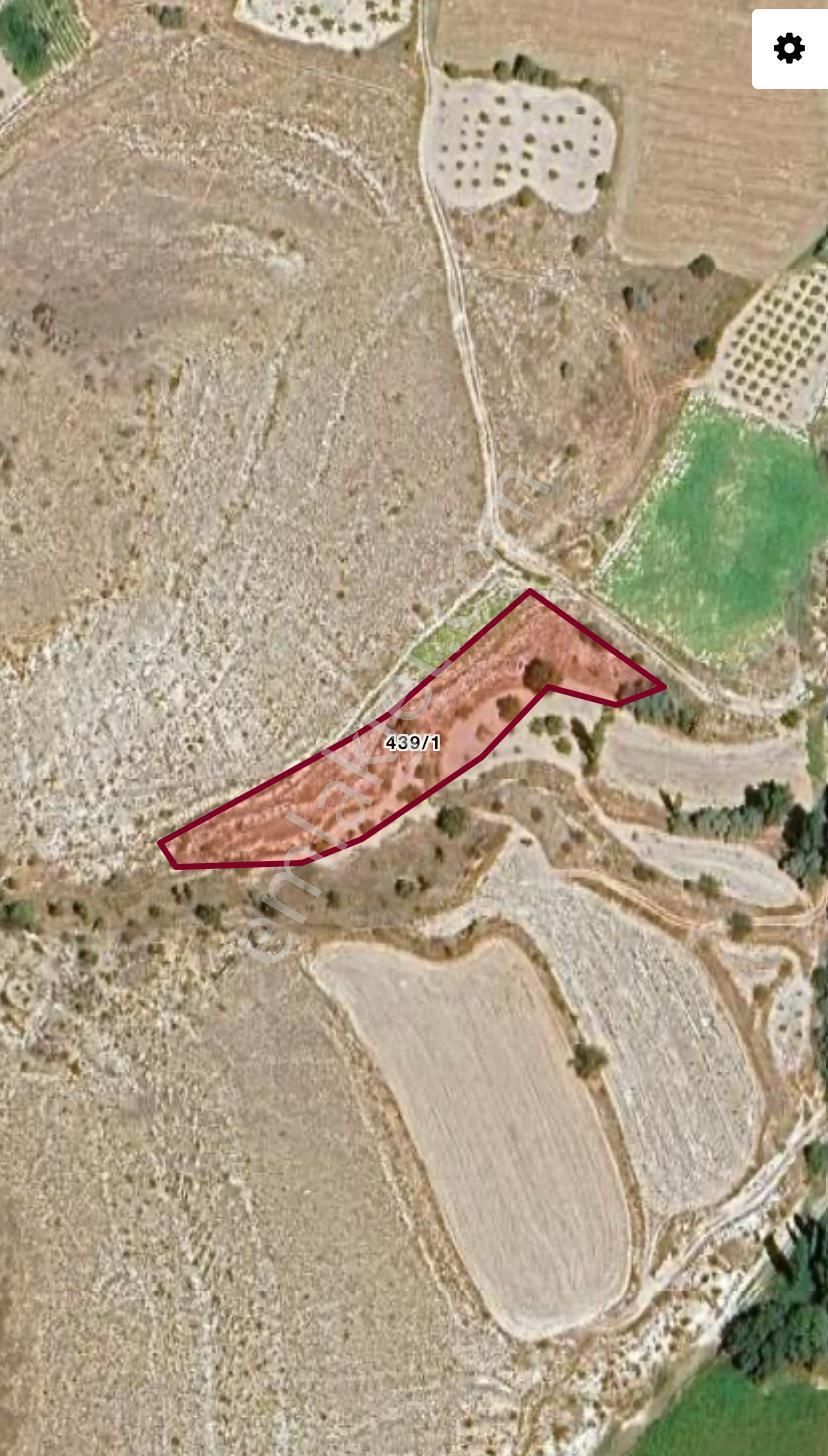 Ürgüp Çökek Ağıl Mevkiinde 2268m2 Satılık Bağ
