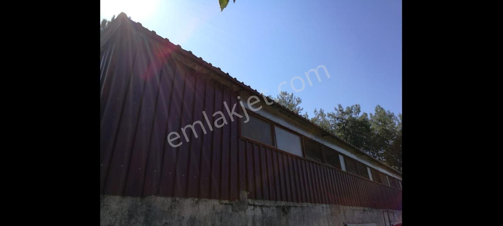 Ağaçlı Köyü Satılık 7237m2 Bahçe Tek Tapu