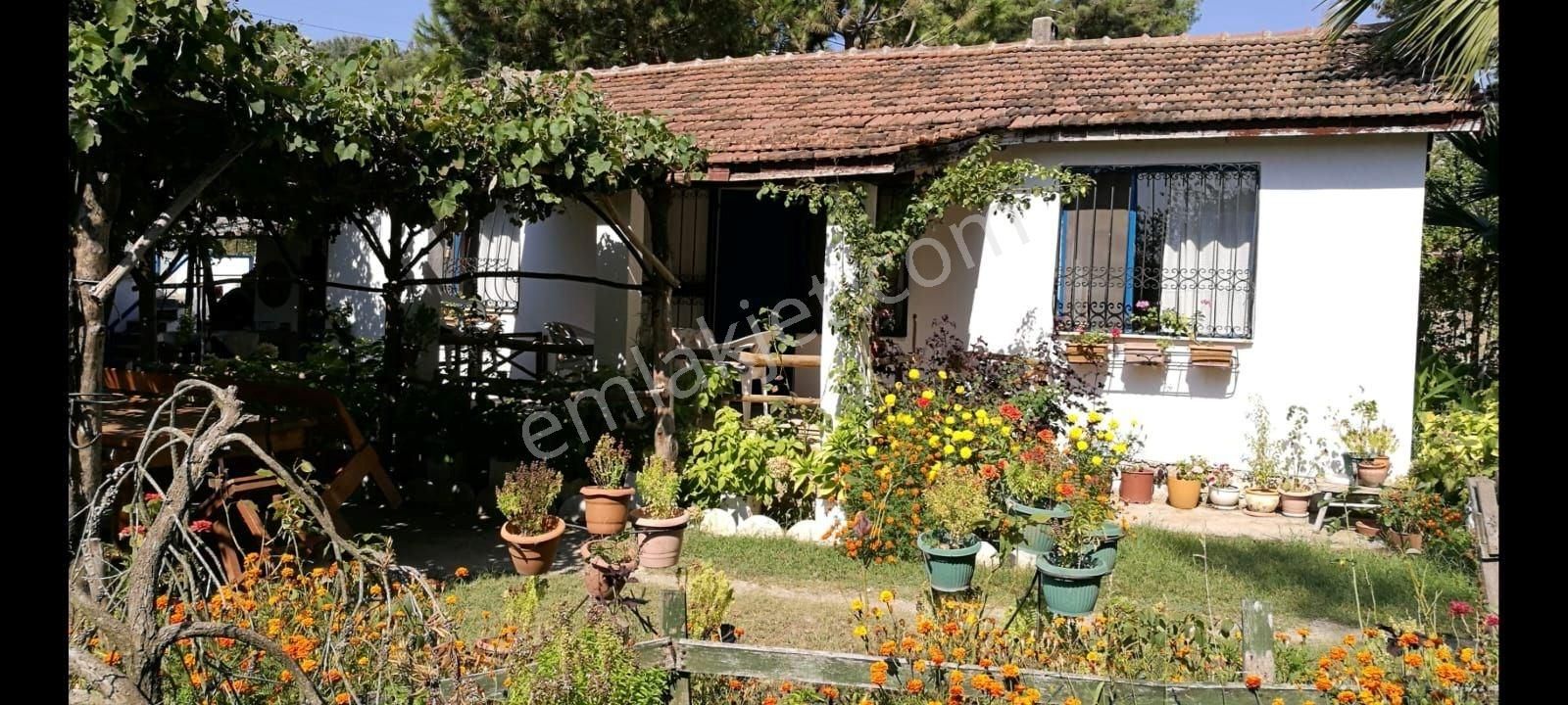 Ağaçlı Köyü Satılık 7237m2 Bahçe Tek Tapu - Görsel 9