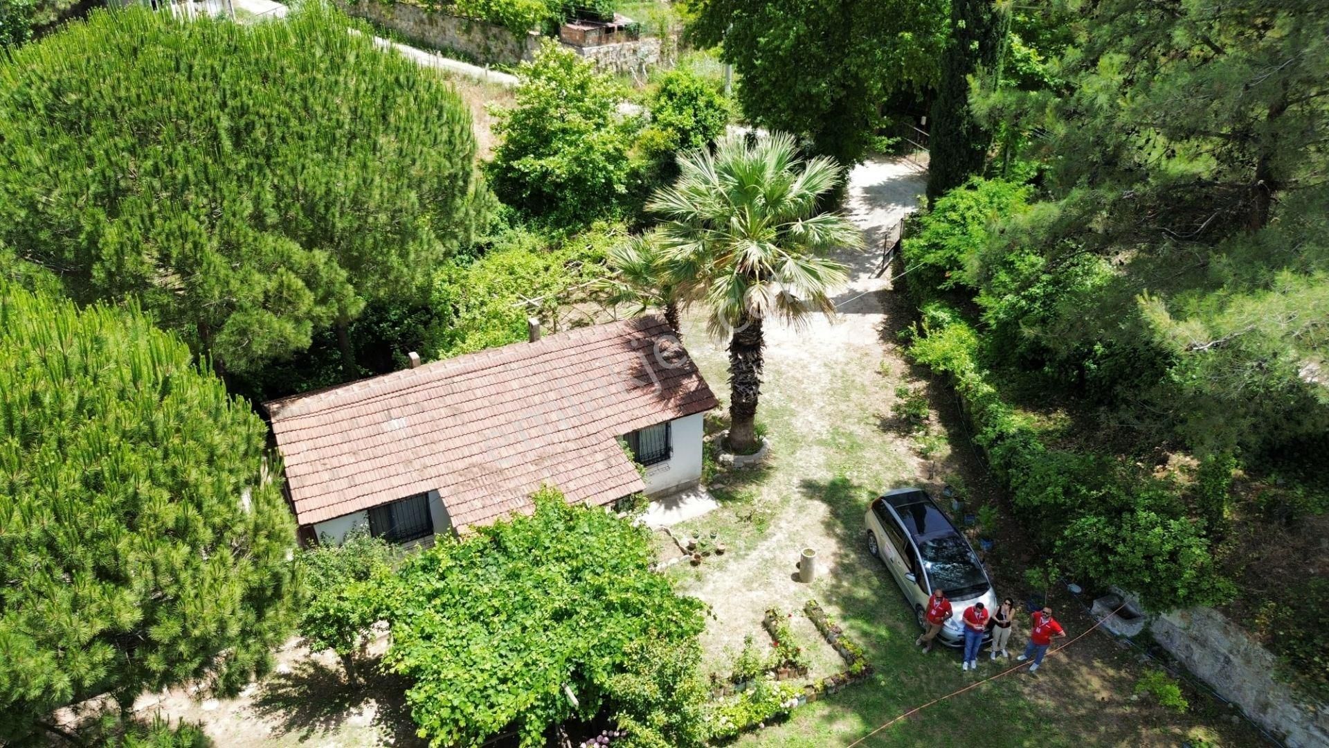 Ağaçlı Köyü Satılık 7237m2 Bahçe Tek Tapu