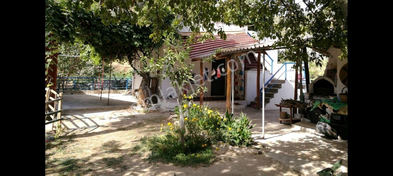 Ağaçlı Köyü Satılık 7237m2 Bahçe Tek Tapu - Görsel 8