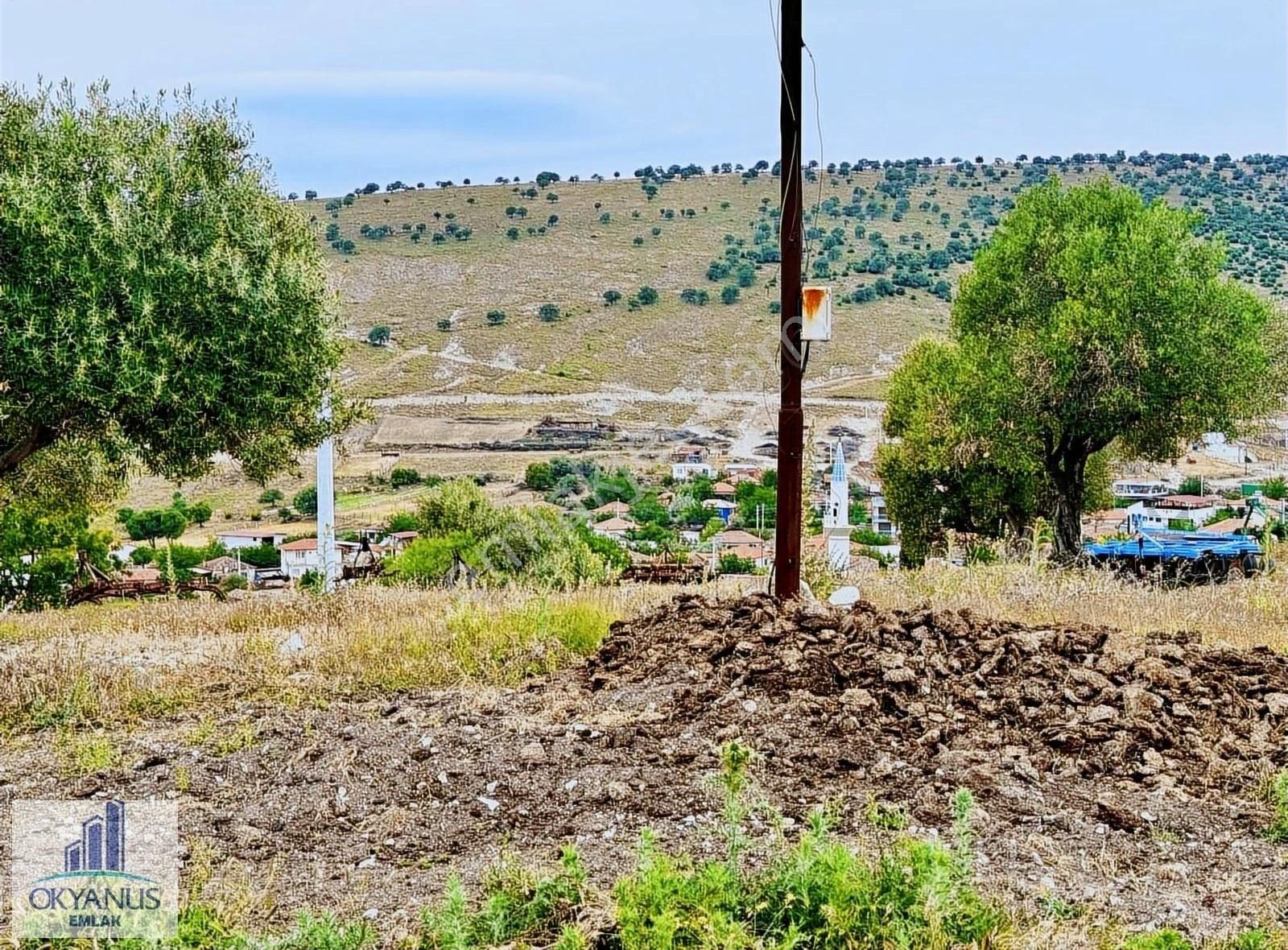 Kağan Da 1.400 M2 Zeytinlik , Asfalta Sıfır , Köye 50 Mt - Görsel 21
