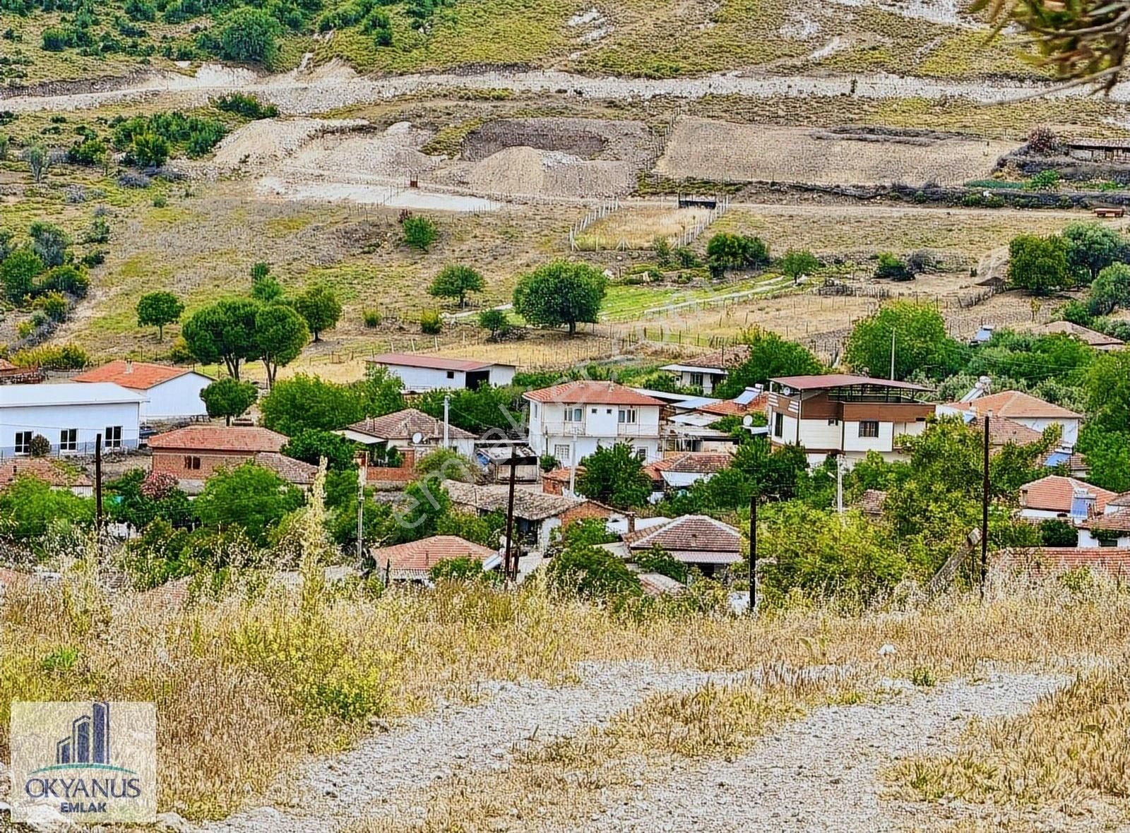 Kağan Da 1.400 M2 Zeytinlik , Asfalta Sıfır , Köye 50 Mt