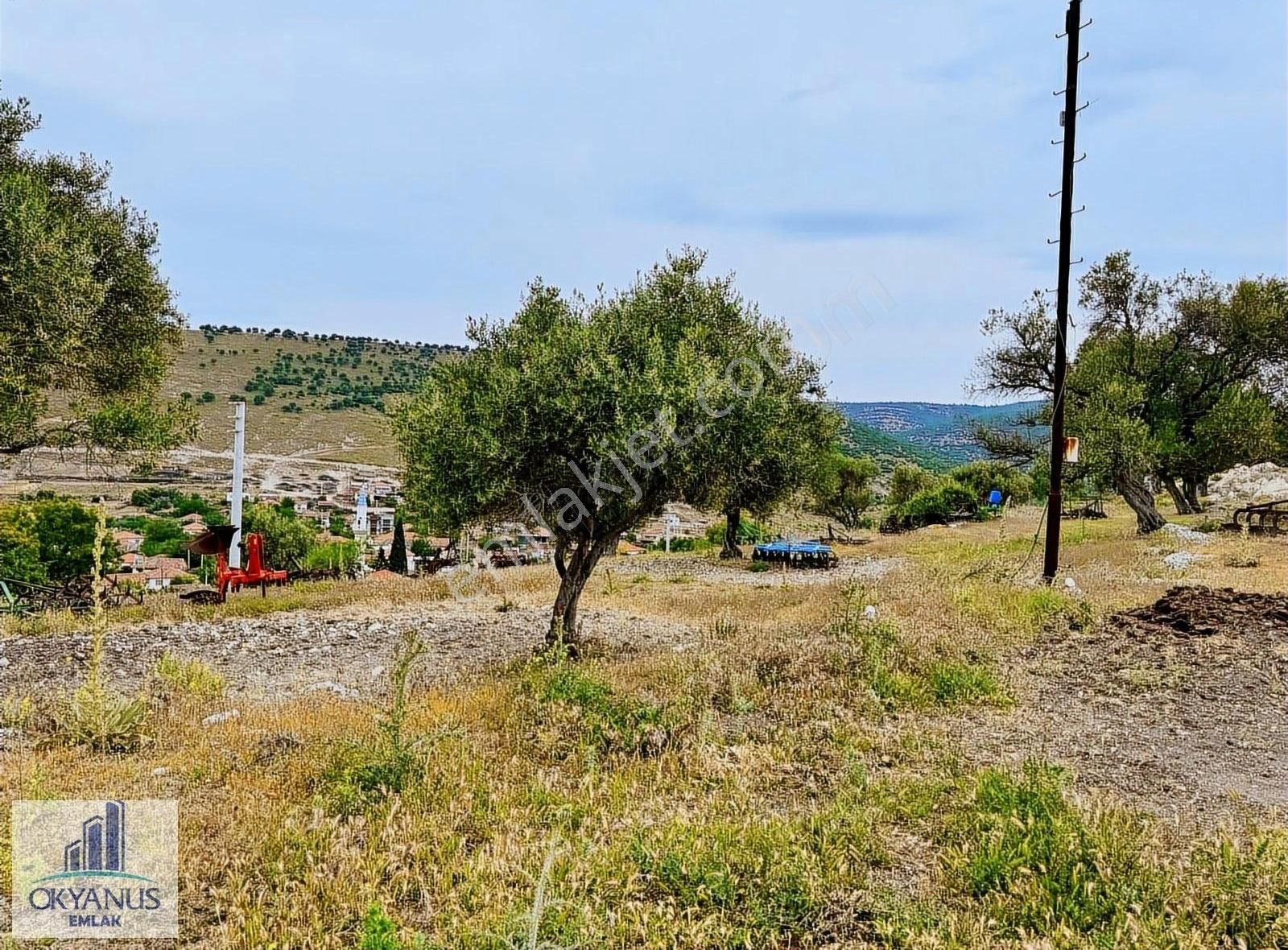 Kağan Da 1.400 M2 Zeytinlik , Asfalta Sıfır , Köye 50 Mt - Görsel 26