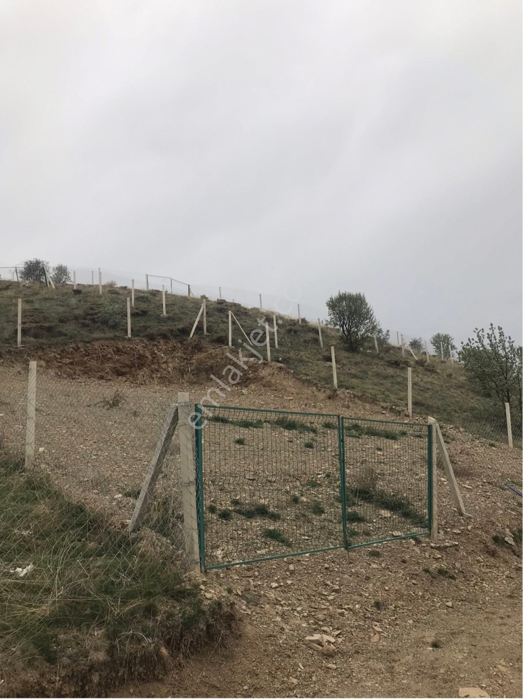 Uygun Fiyatlı Elektirik Sulu Satılık Hobi Bahçesi