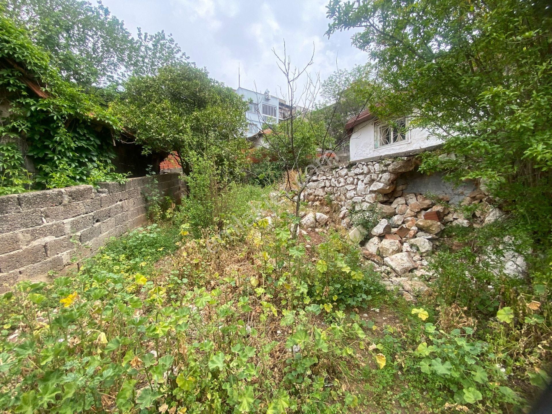 Acill Konak M.akif Mahallesinde Toros Meydan Yakını 497m2 Arsa İçerisinde Tek Katlı Müstakilev - Görsel 9