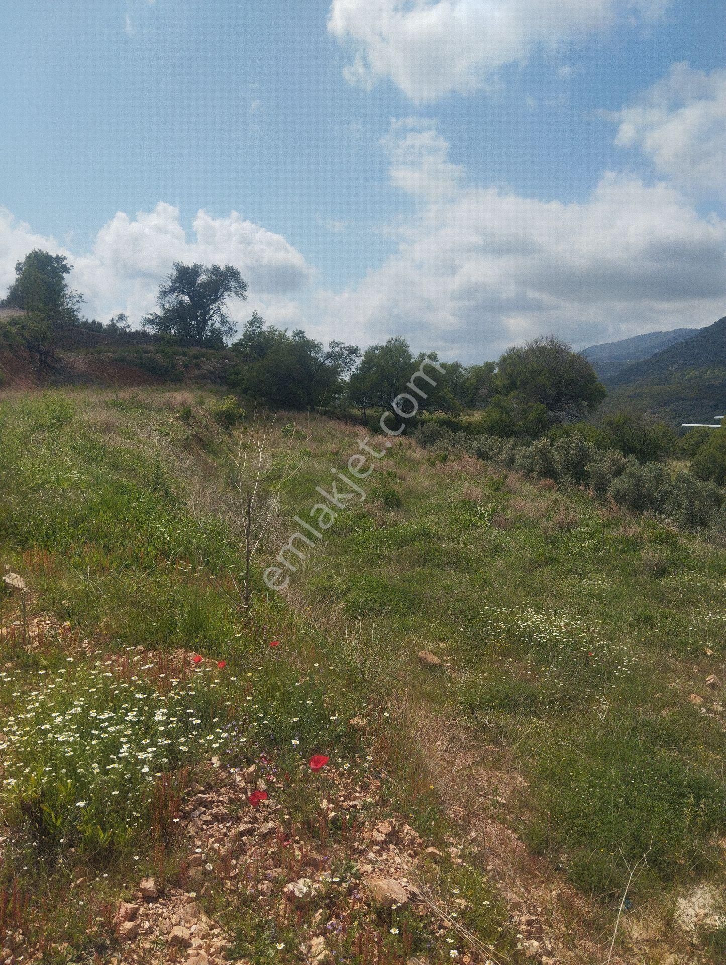 Yeni Köy Hariyat Yapılmış Yola Sıfır - Görsel 11