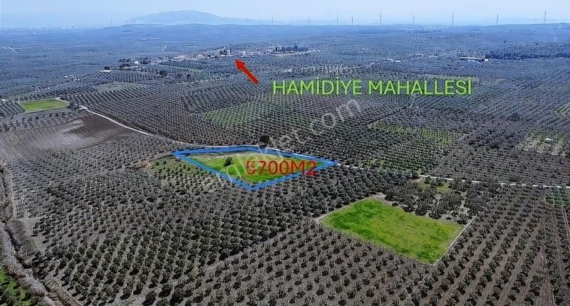 Ermiş Emlaktan Ballıcada 5700 M2 Satılık Arazi