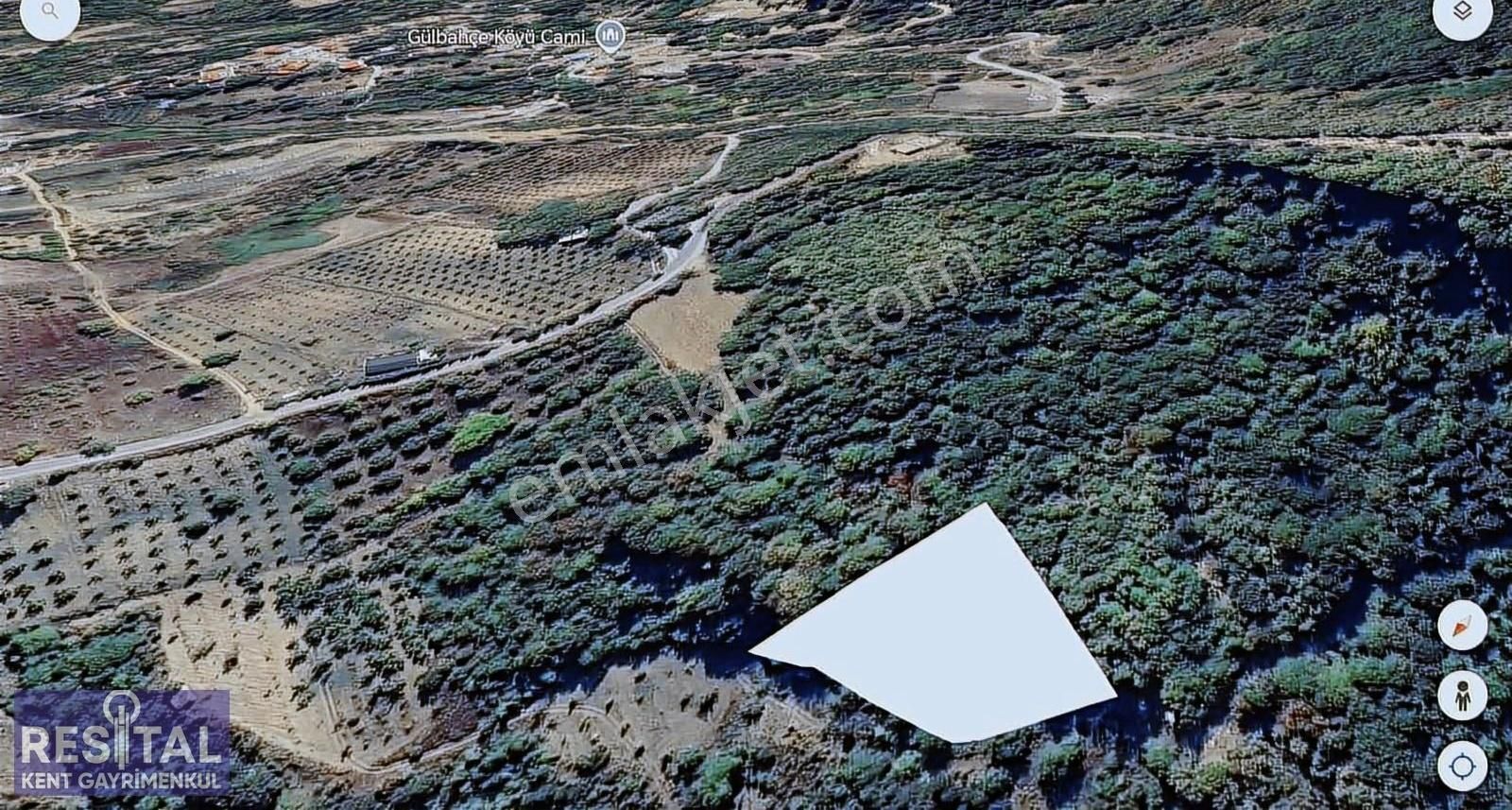 İnegöl Gülbahçe Köyünde Orman Yolu Cepheli Yatırımlık Tarla!
