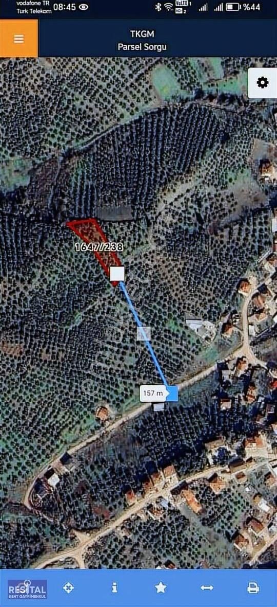 Gemlik Muratoba Köyünde 1557 M2 De 778 M2 Hisse