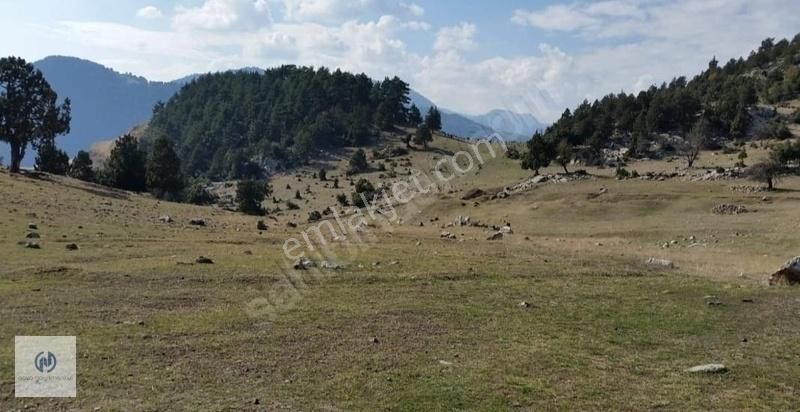 **nova** Toroslar Kuruderede Acil Satılık 10.000 Metrekare Tarla