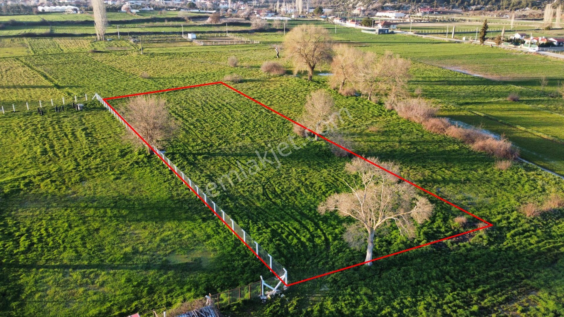 Muğla Doğanköy'de Geçiş Hakkı Alınan 2.375 M2 Satılık Tarla