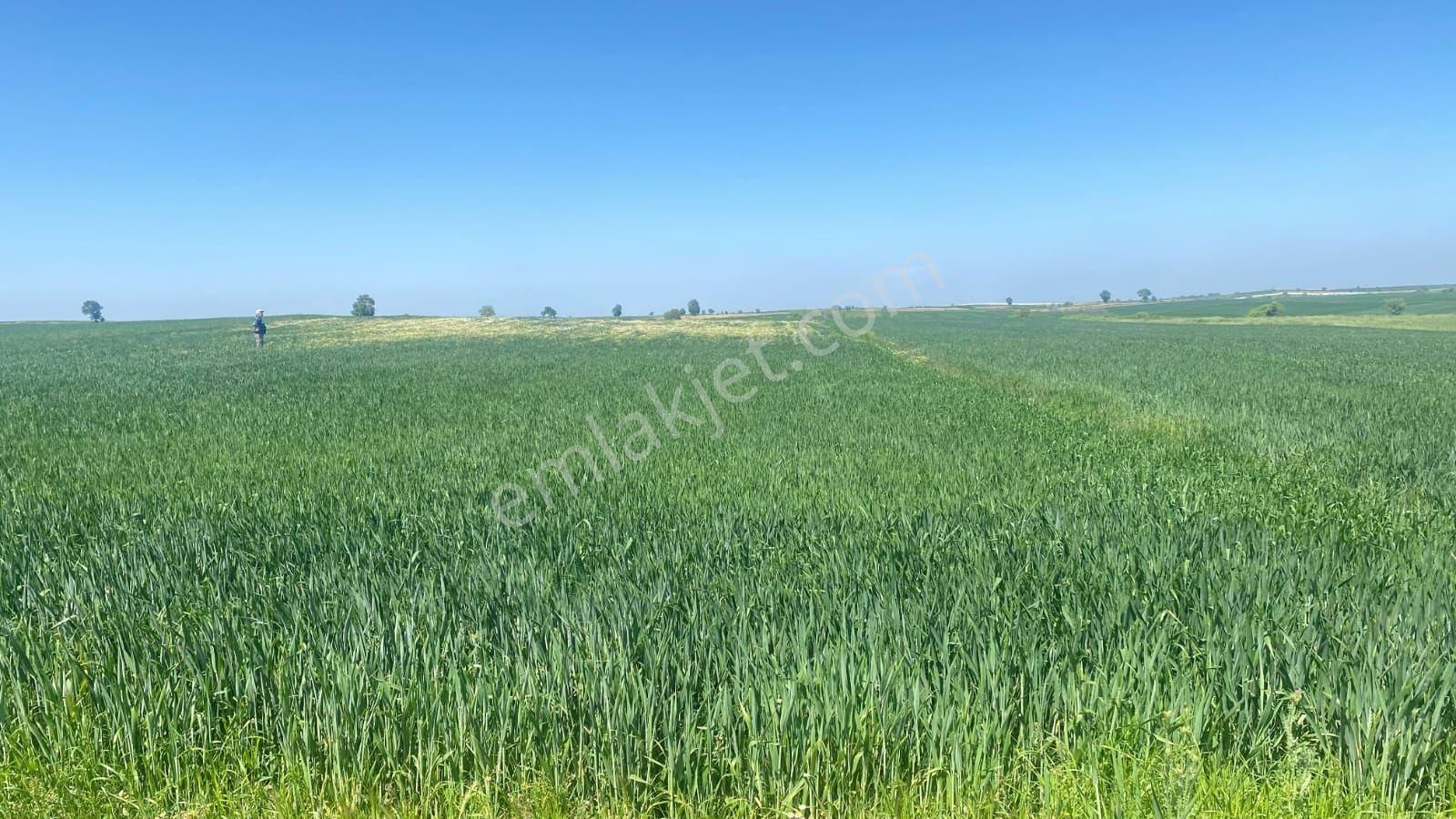 Edirne İpsala Yatırımlık 10 Dönüm Tarla