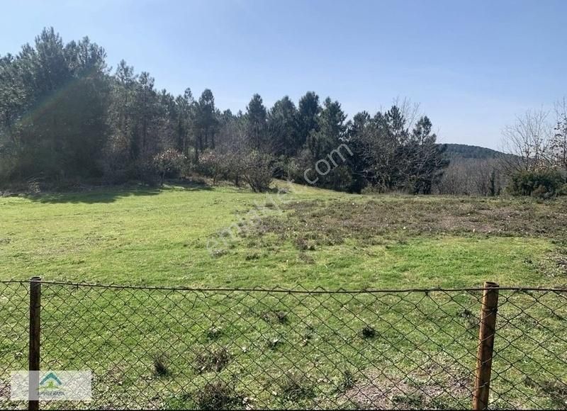 Villa Sitelerine Komşu 488 M2 Tek Tapu