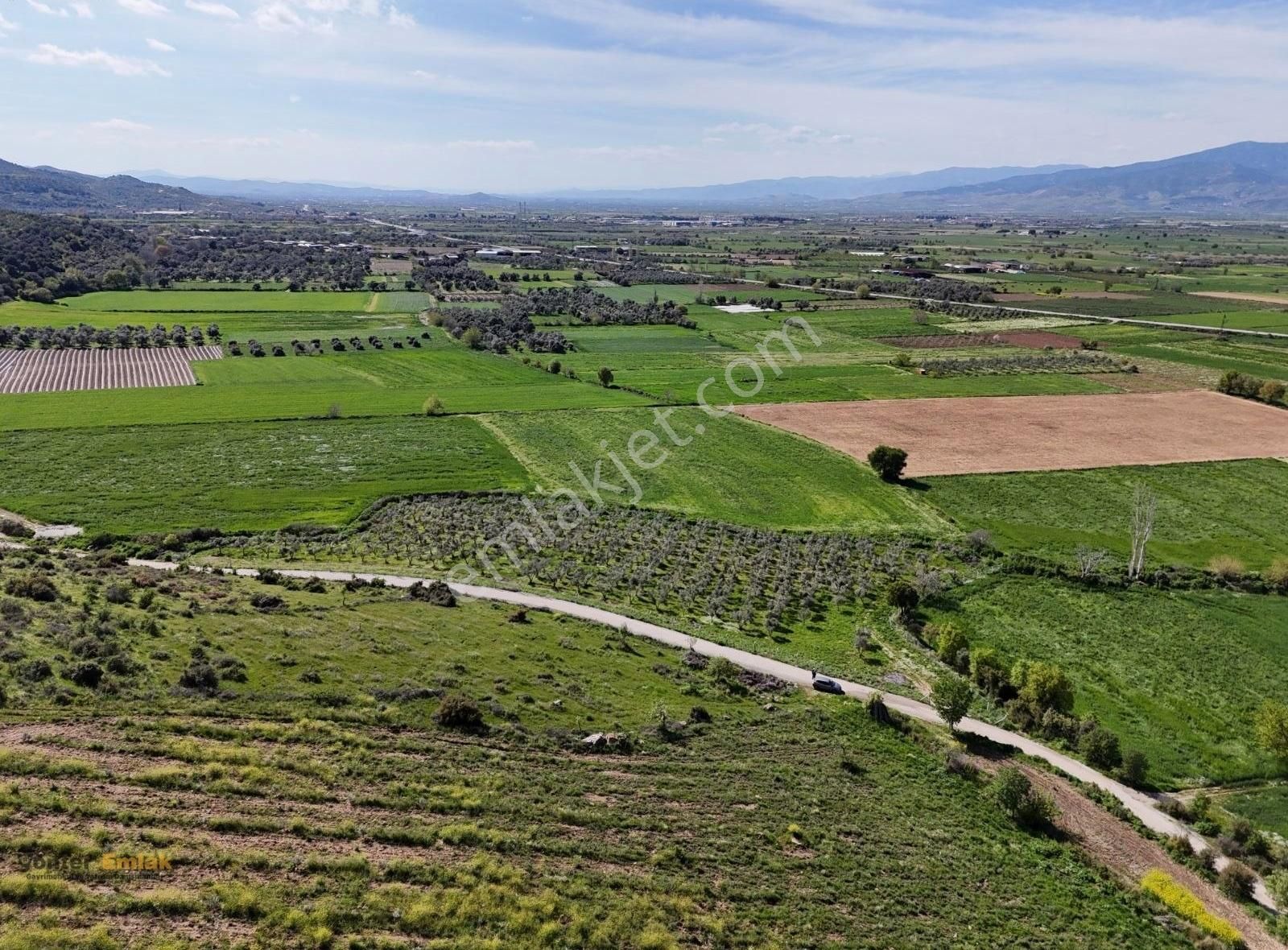 Yönter Emlaktan Kırtepe Köyünde 7.777 M² Zeytin Bahçesi - Görsel 2