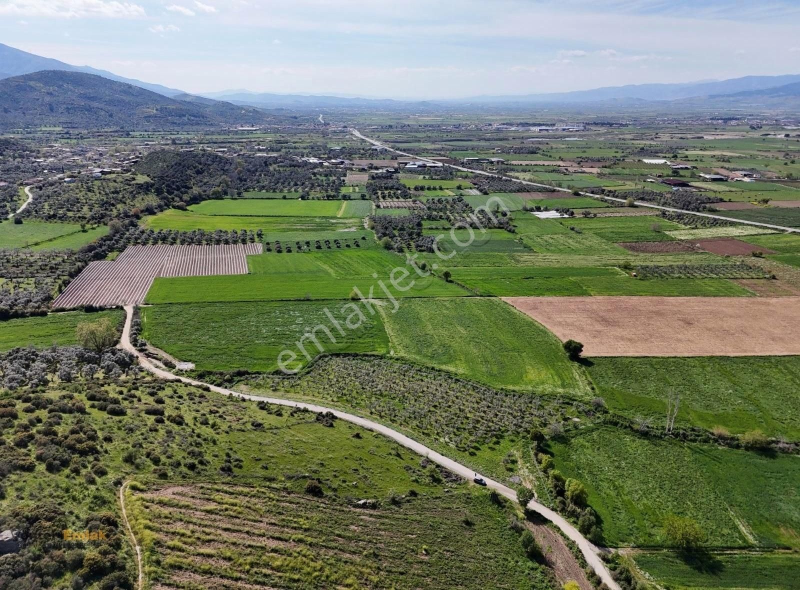 Yönter Emlaktan Kırtepe Köyünde 7.777 M² Zeytin Bahçesi - Görsel 10