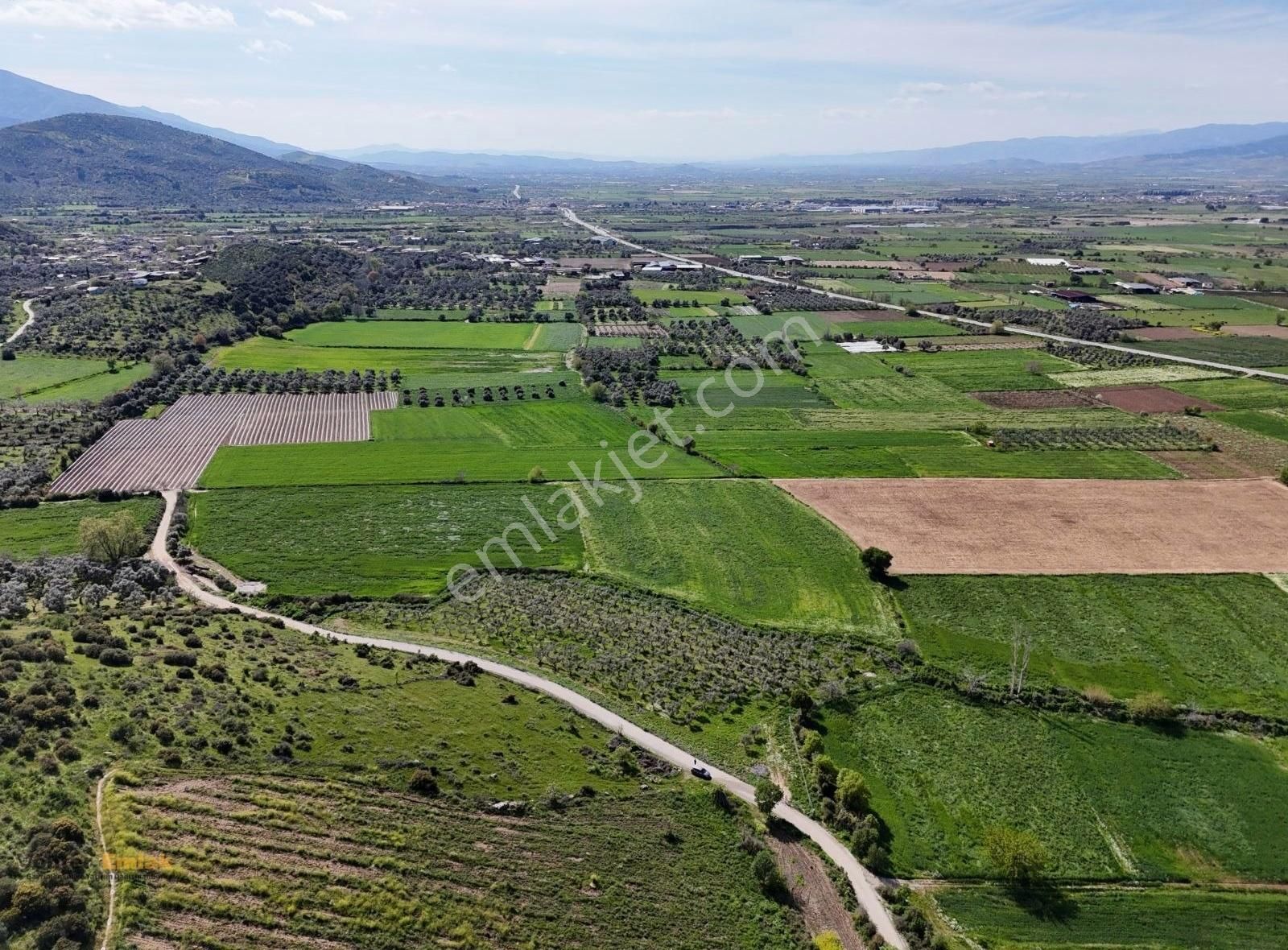 Yönter Emlaktan Kırtepe Köyünde 7.777 M² Zeytin Bahçesi - Görsel 13