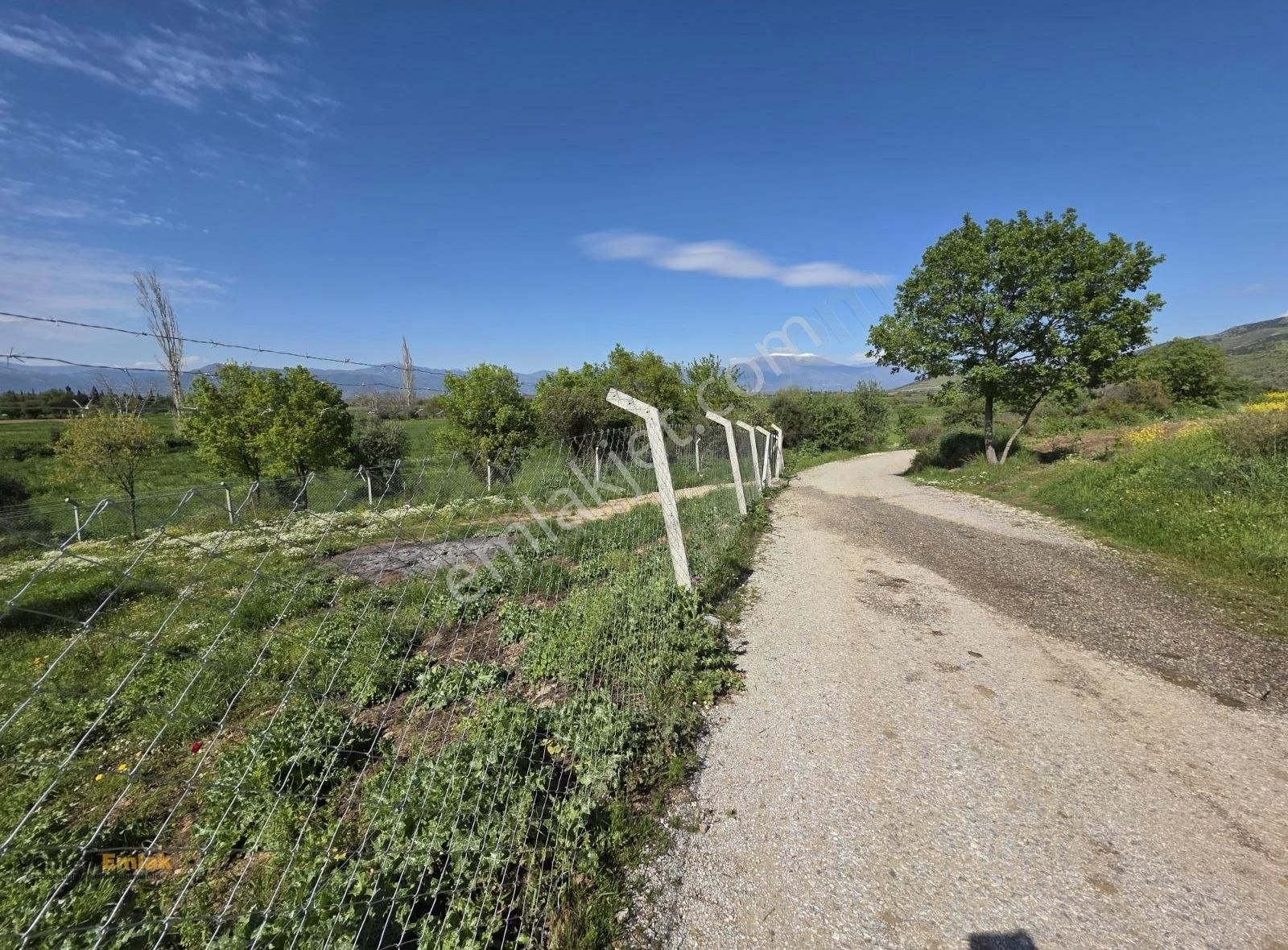 Yönter Emlaktan Kırtepe Köyünde 7.777 M² Zeytin Bahçesi - Görsel 15