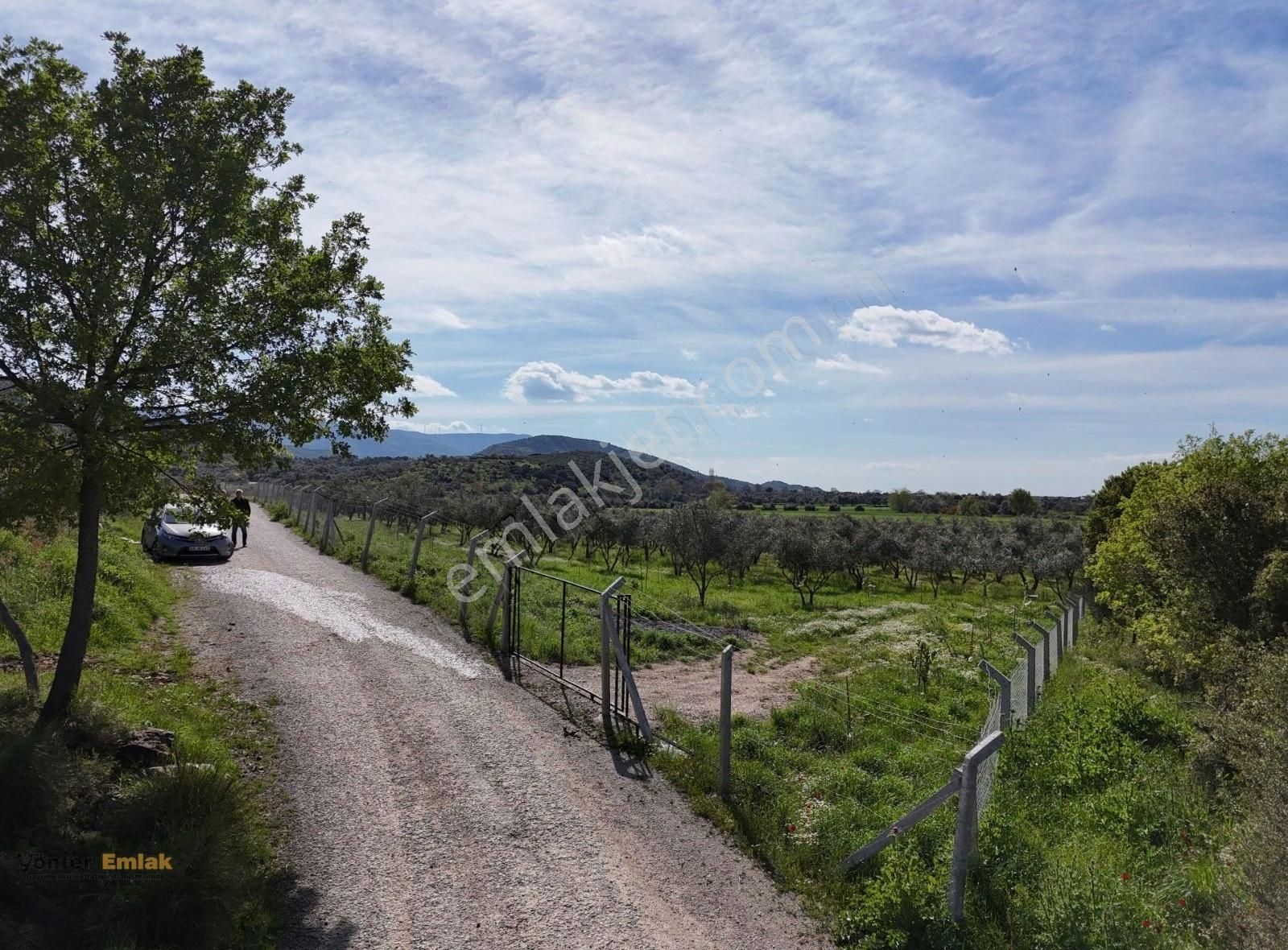 Yönter Emlaktan Kırtepe Köyünde 7.777 M² Zeytin Bahçesi - Görsel 29