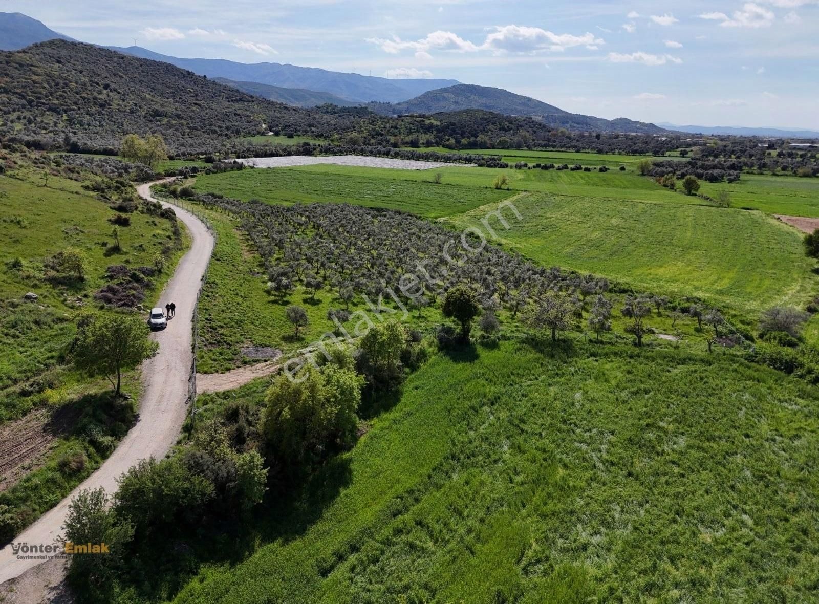 Yönter Emlaktan Kırtepe Köyünde 7.777 M² Zeytin Bahçesi - Görsel 23