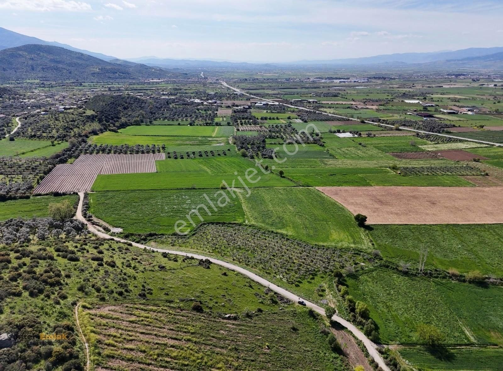 Yönter Emlaktan Kırtepe Köyünde 7.777 M² Zeytin Bahçesi - Görsel 14