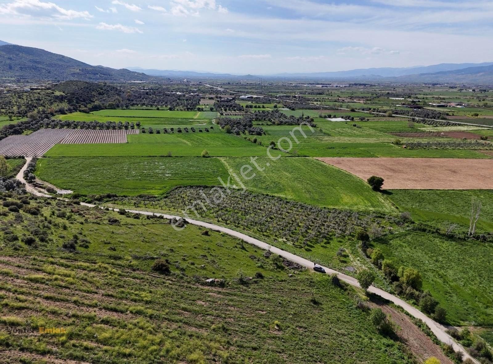 Yönter Emlaktan Kırtepe Köyünde 7.777 M² Zeytin Bahçesi - Görsel 8