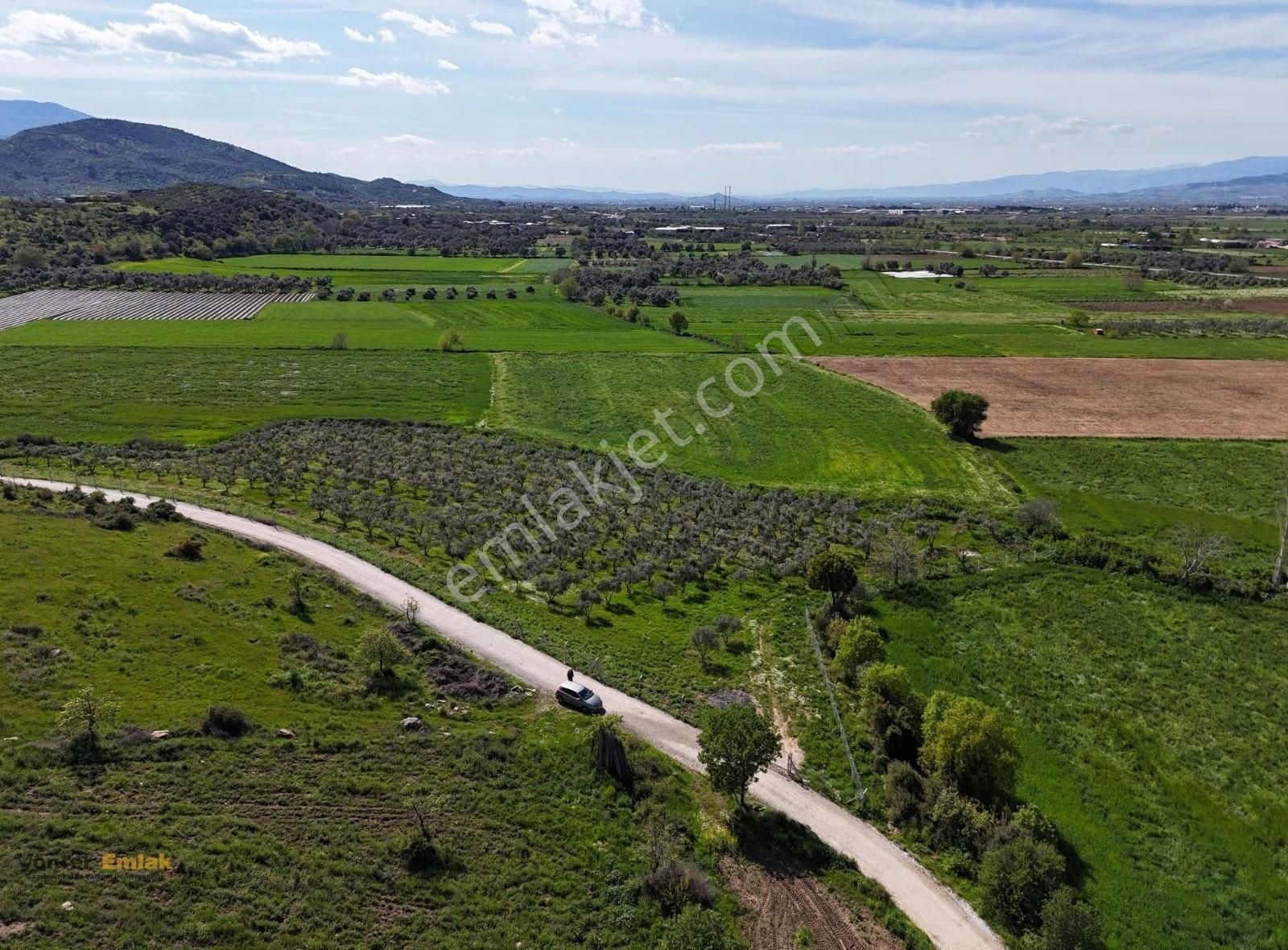 Yönter Emlaktan Kırtepe Köyünde 7.777 M² Zeytin Bahçesi - Görsel 4