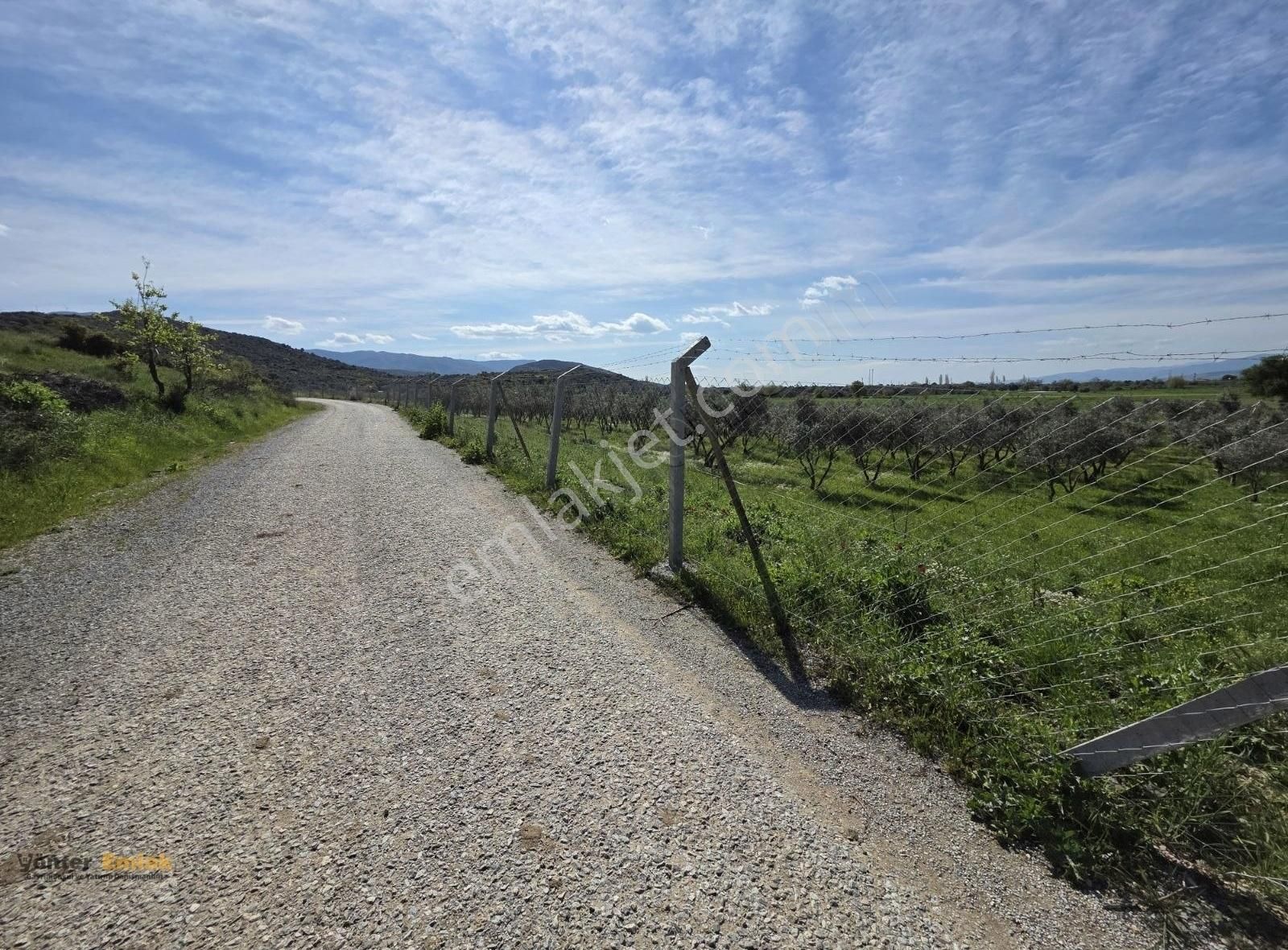 Yönter Emlaktan Kırtepe Köyünde 7.777 M² Zeytin Bahçesi - Görsel 21