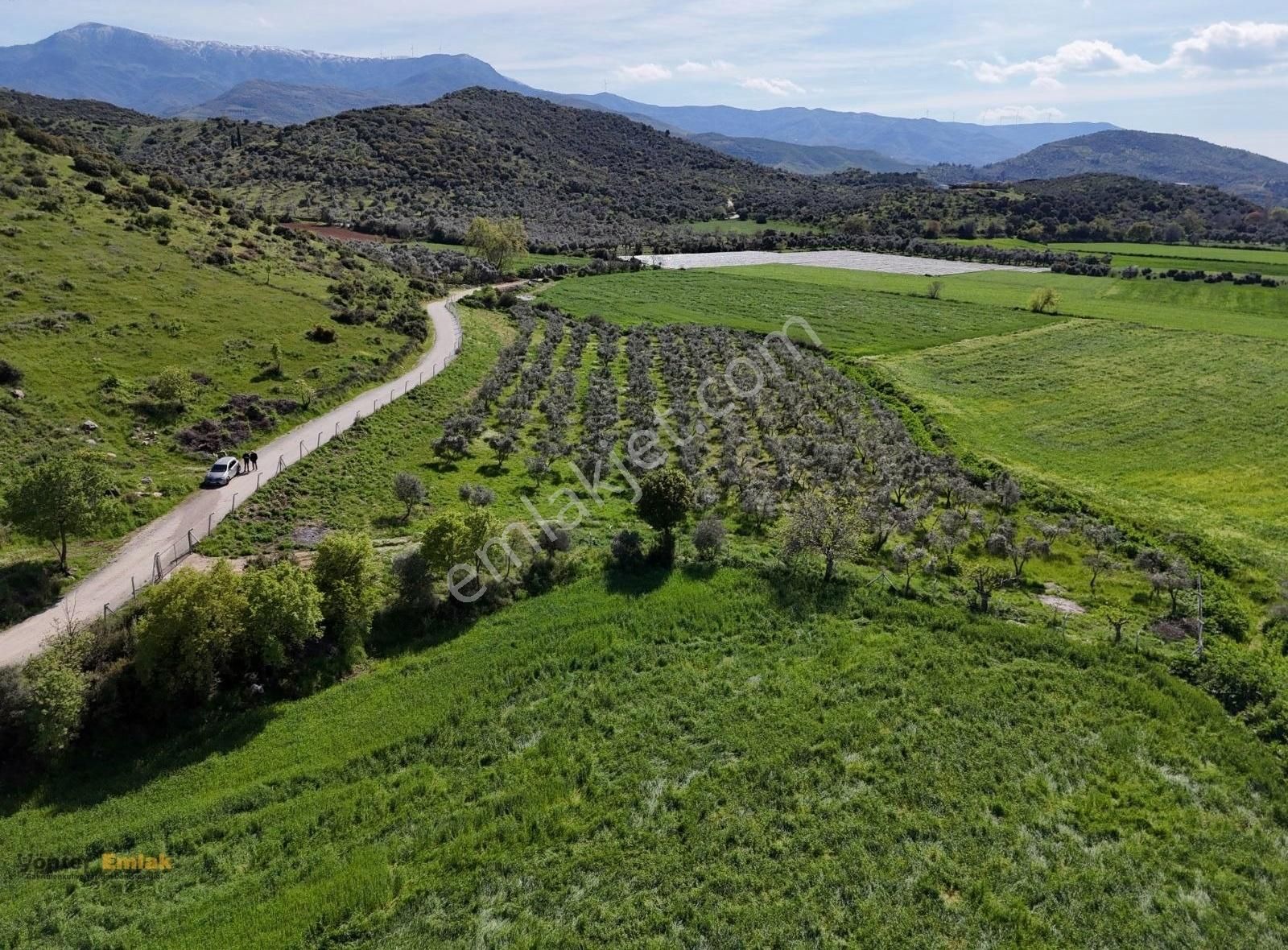 Yönter Emlaktan Kırtepe Köyünde 7.777 M² Zeytin Bahçesi - Görsel 20