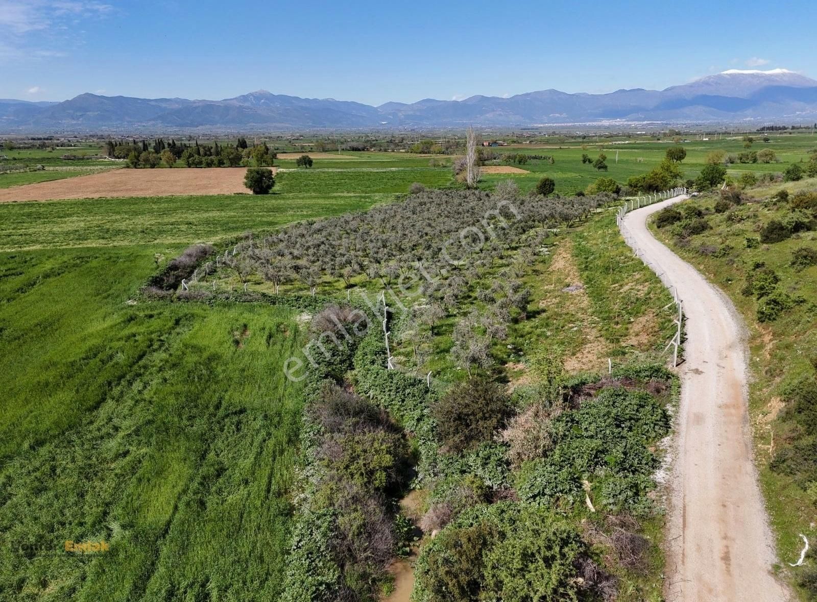 Yönter Emlaktan Kırtepe Köyünde 7.777 M² Zeytin Bahçesi - Görsel 25