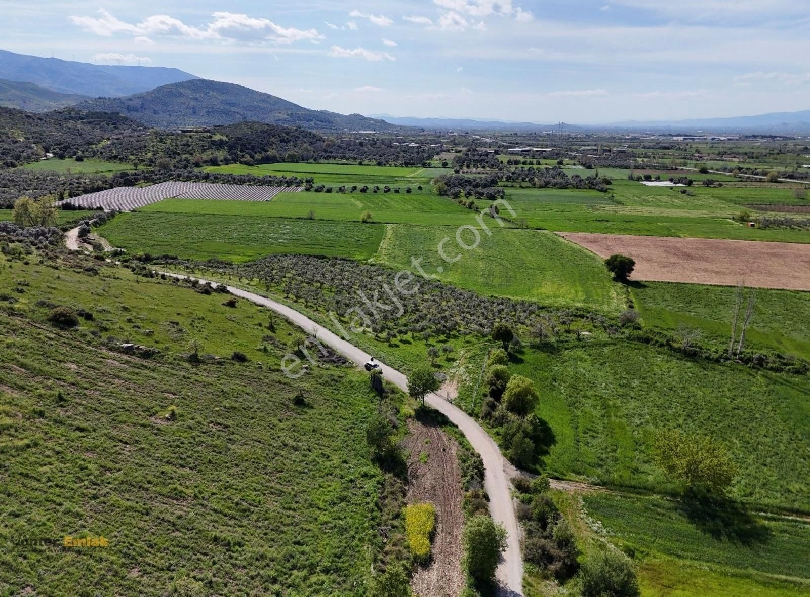 Yönter Emlaktan Kırtepe Köyünde 7.777 M² Zeytin Bahçesi - Görsel 35